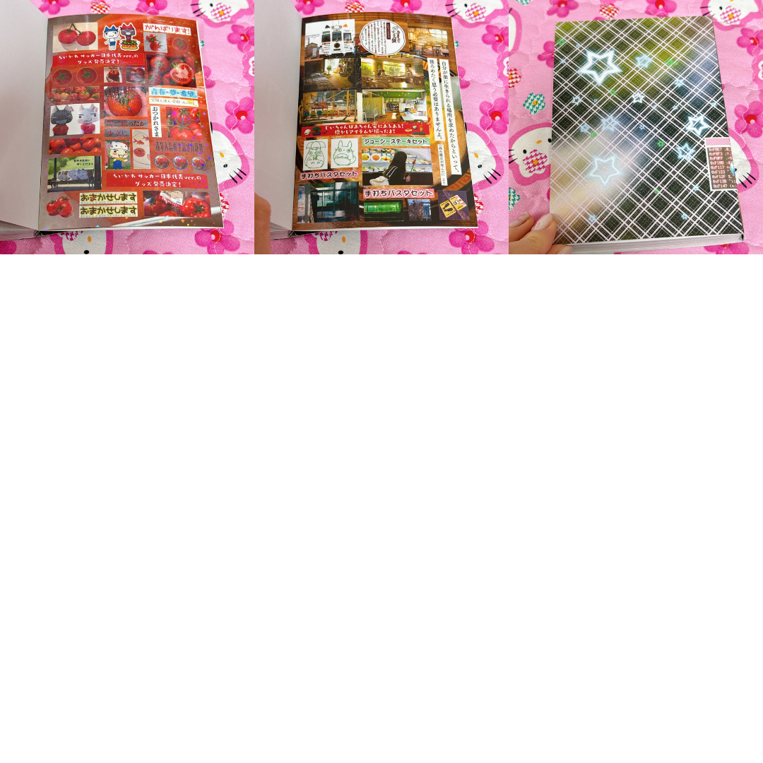 Sticker Book ♡ 45 pages