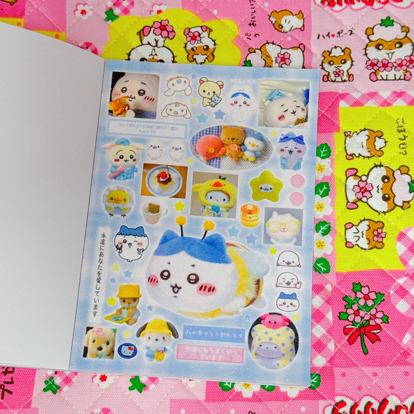Sticker Book ♡ 35 pages (grainy texture)