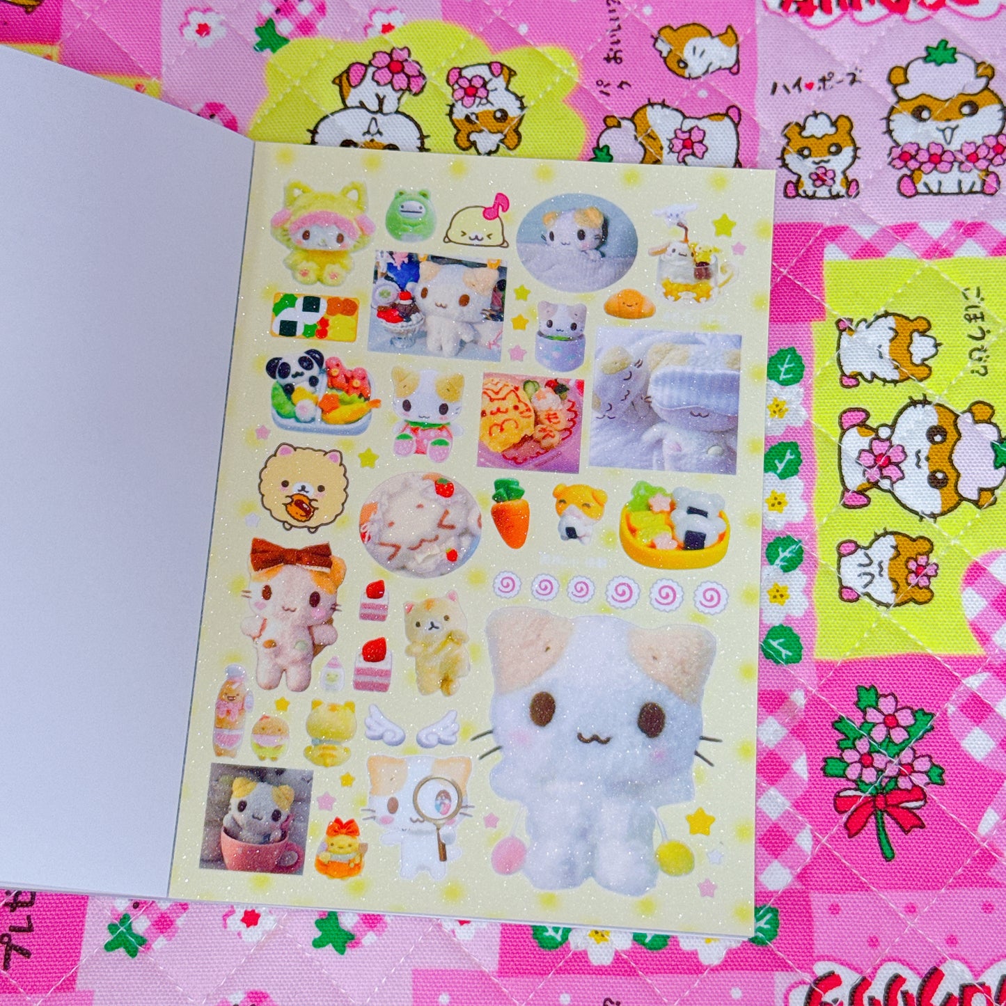 Sticker Book ♡ 35 pages (grainy texture)