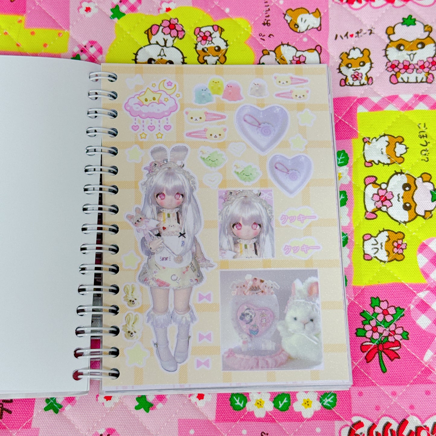 Sticker Book ♡ 30 pages