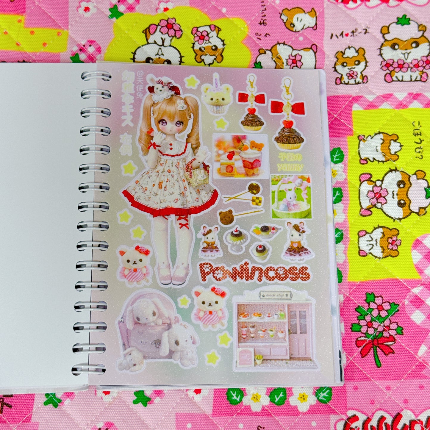 Sticker Book ♡ 30 pages