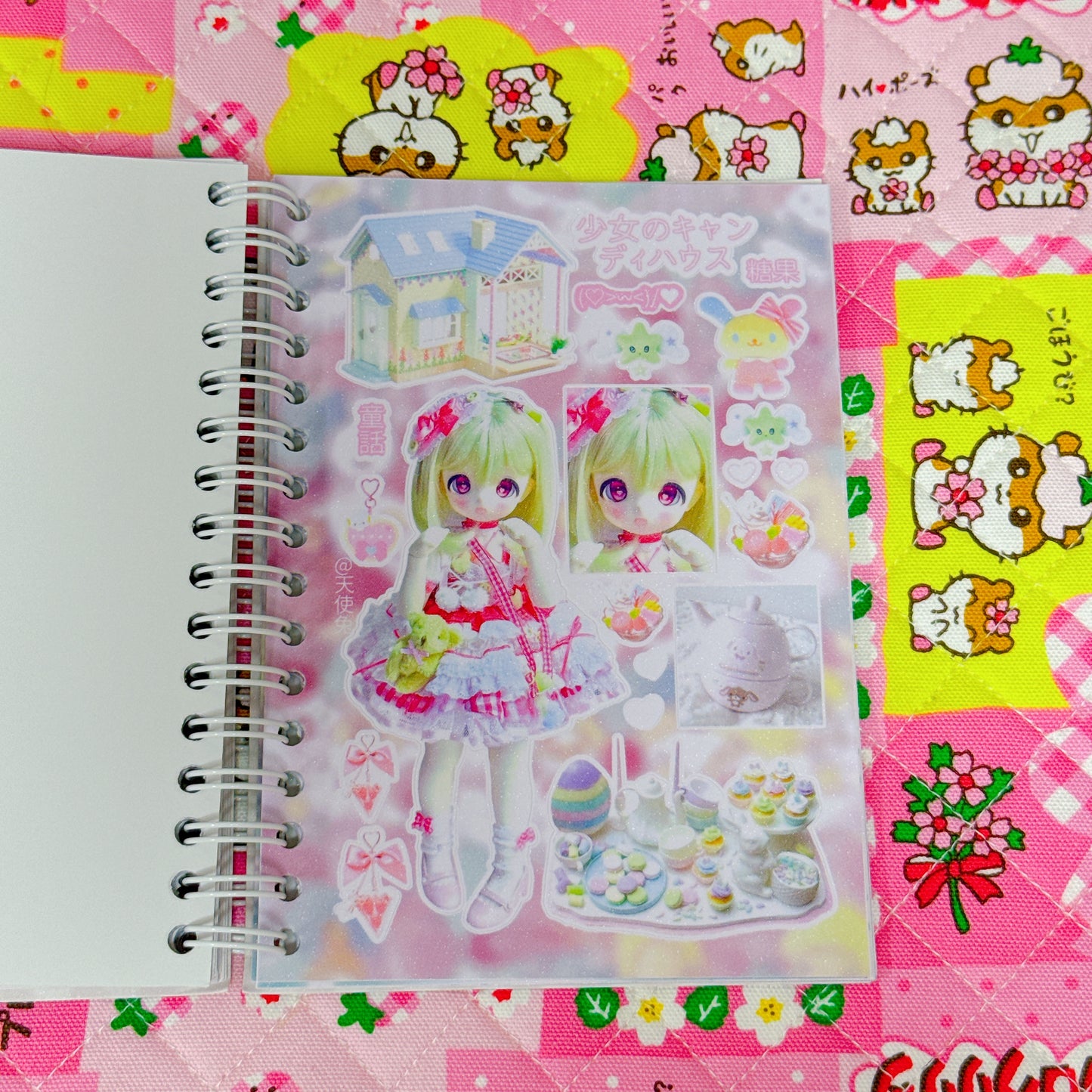 Sticker Book ♡ 30 pages