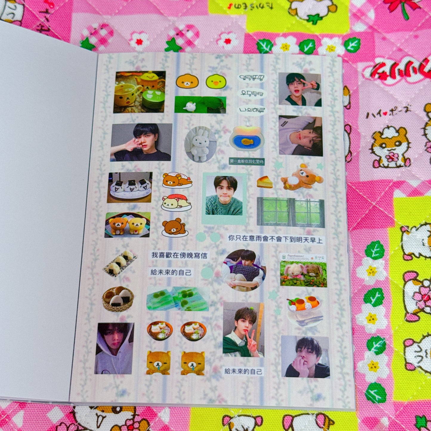 Sticker Book ♡ 37 pages