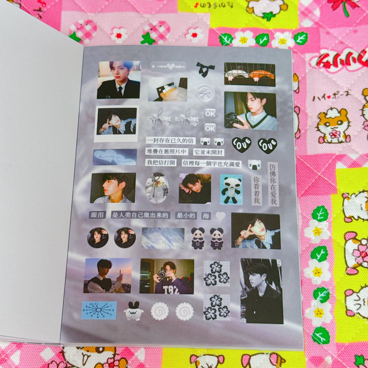 Sticker Book ♡ 37 pages