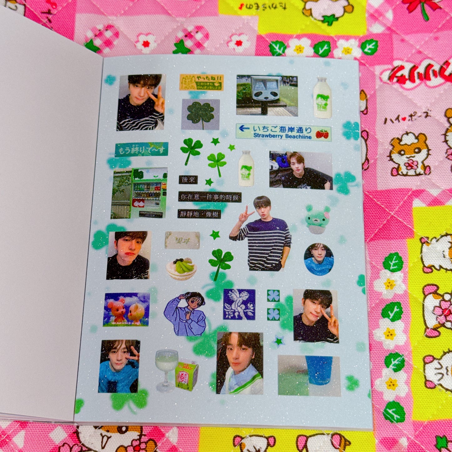 Sticker Book ♡ 37 pages