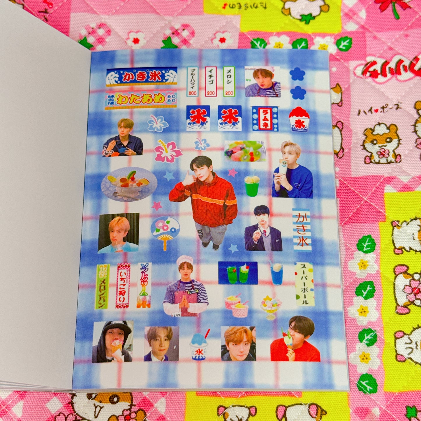 Sticker Book ♡ 37 pages