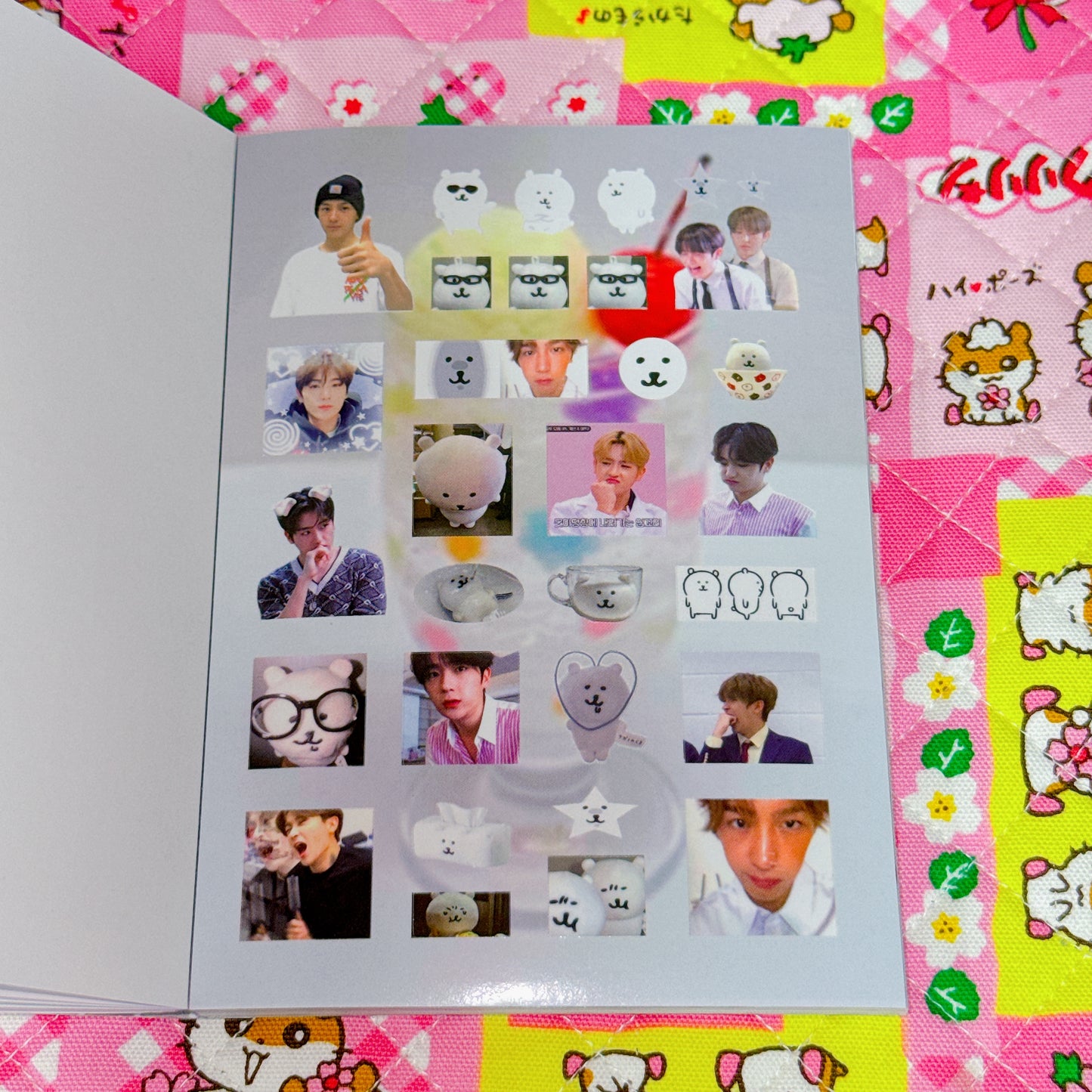 Sticker Book ♡ 37 pages
