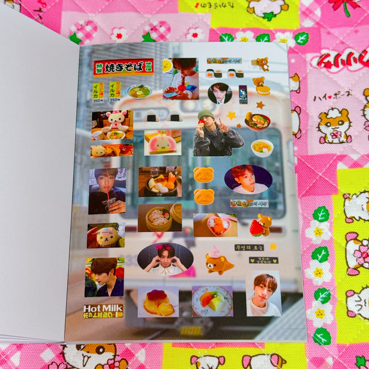 Sticker Book ♡ 37 pages