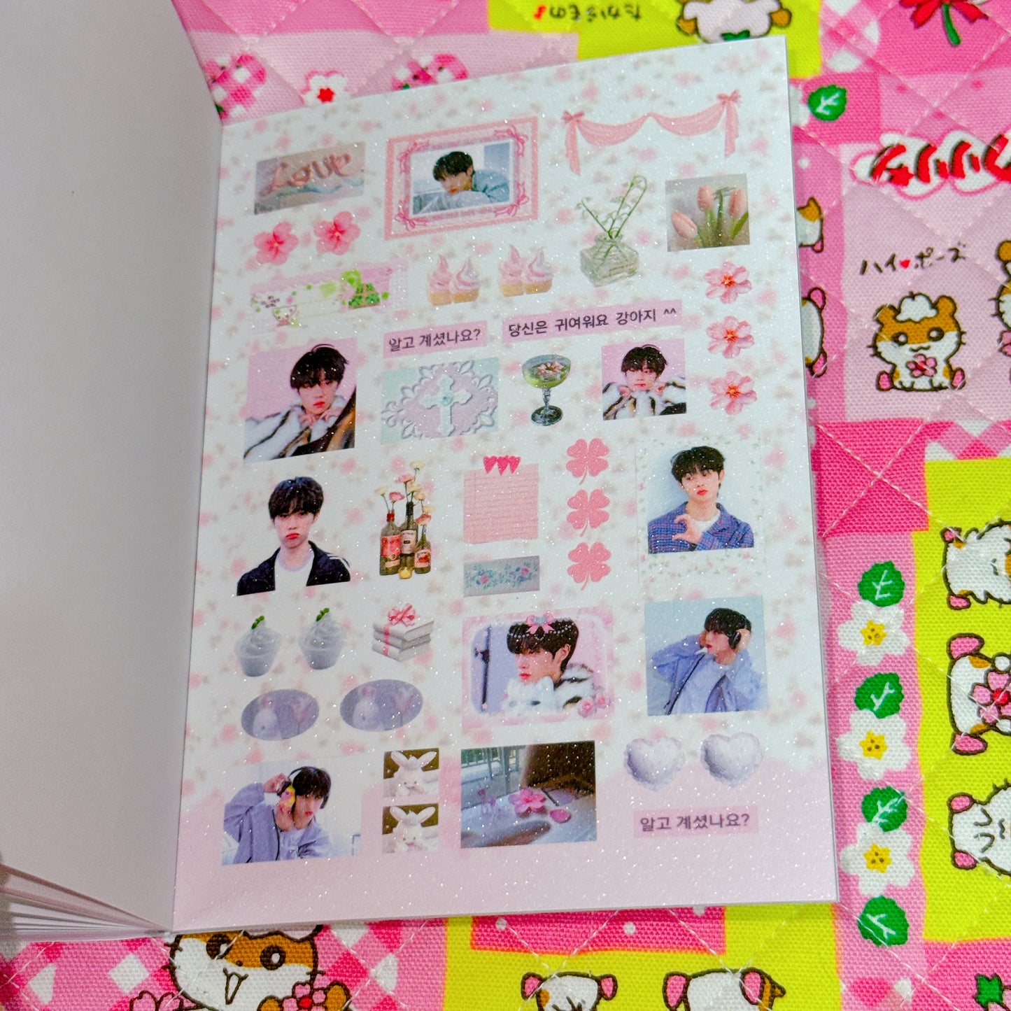 Sticker Book ♡ 37 pages