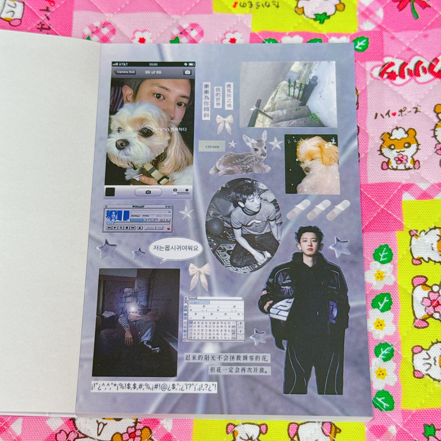 Sticker Book ♡ 30 pages