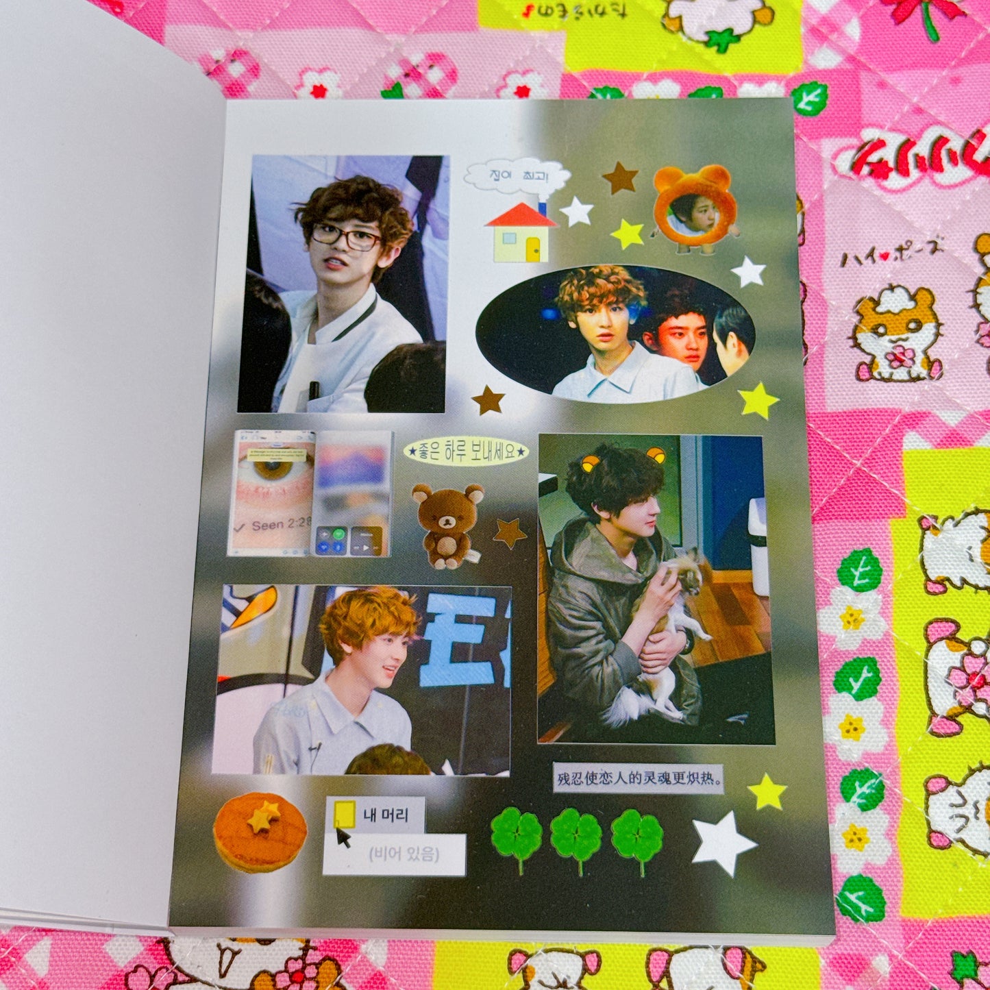 Sticker Book ♡ 30 pages