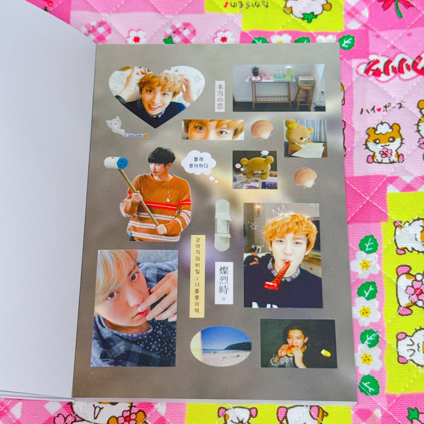 Sticker Book ♡ 30 pages