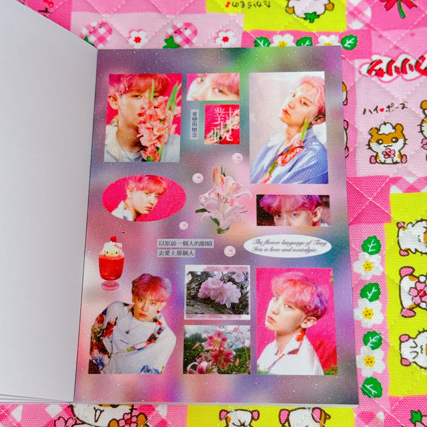 Sticker Book ♡ 30 pages