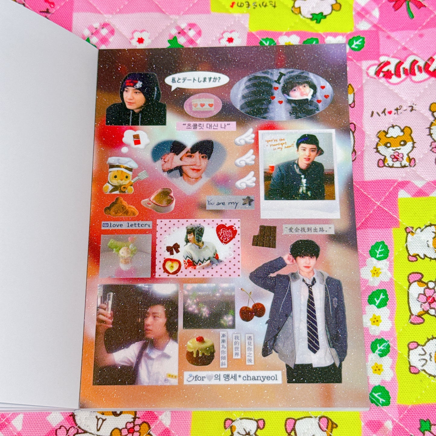 Sticker Book ♡ 30 pages