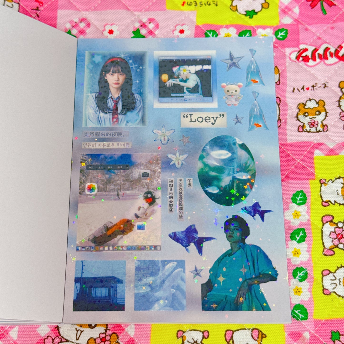 Sticker Book ♡ 30 pages