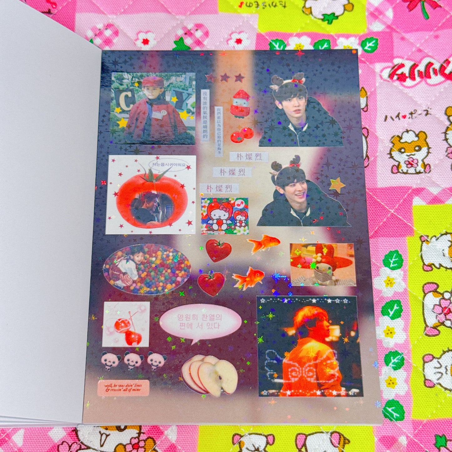 Sticker Book ♡ 30 pages