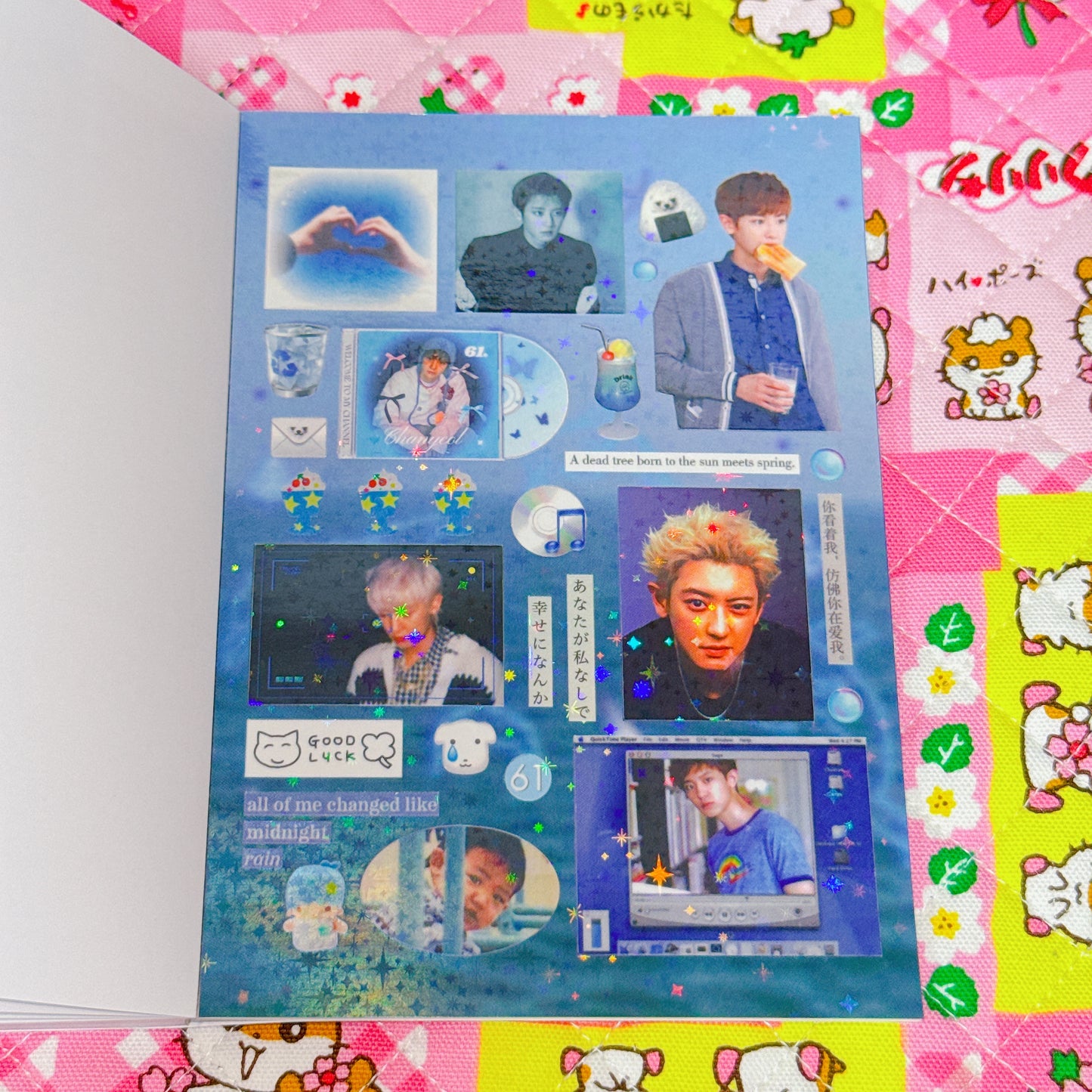 Sticker Book ♡ 30 pages