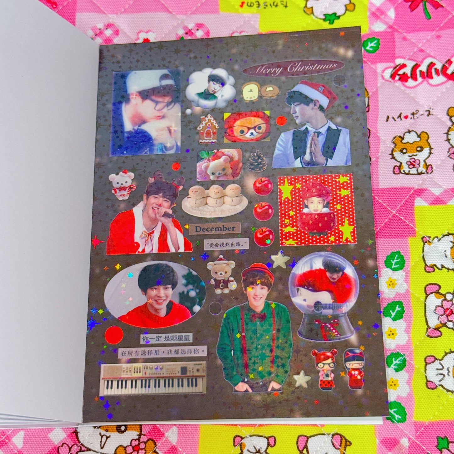 Sticker Book ♡ 30 pages
