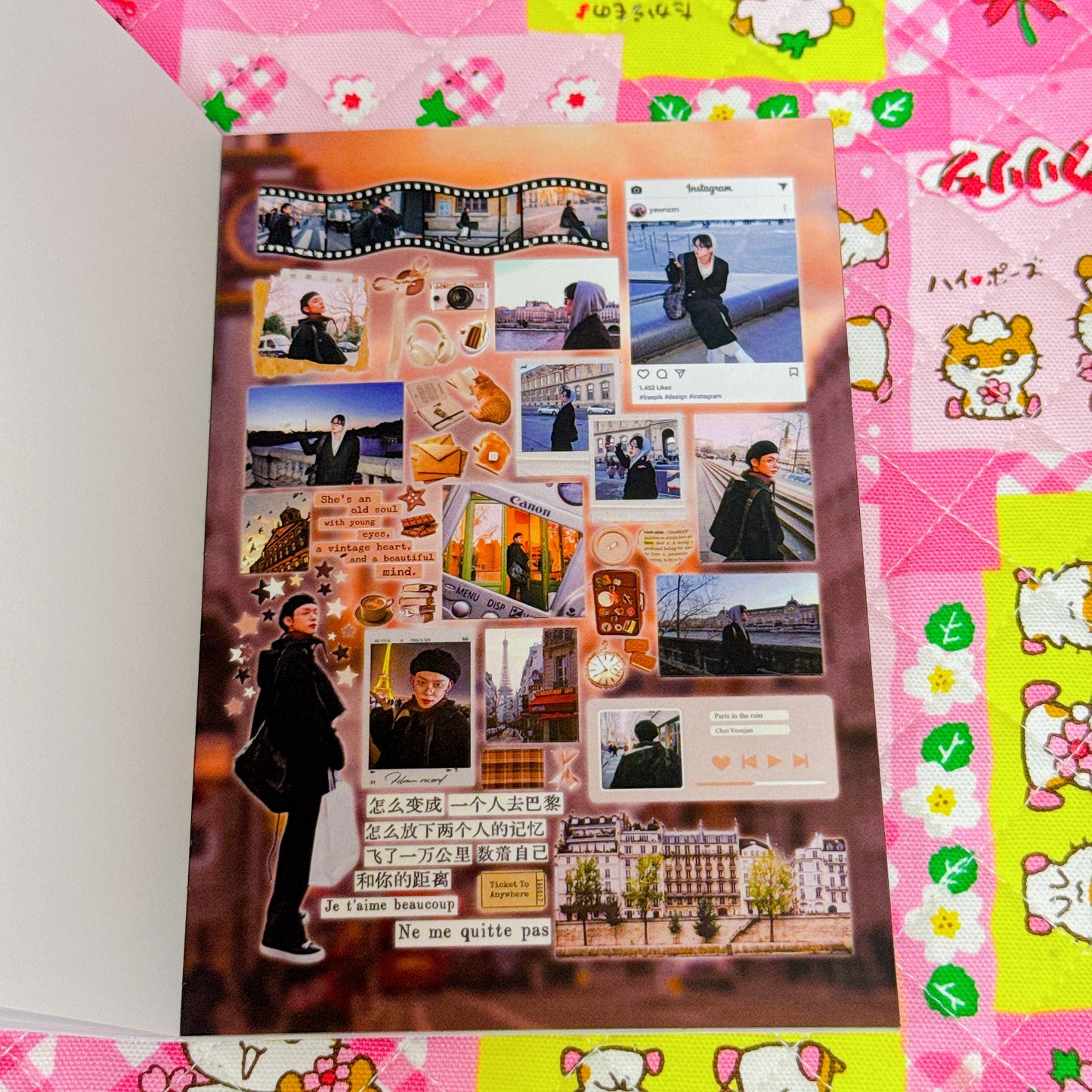 Sticker Book ♡ 20 pages