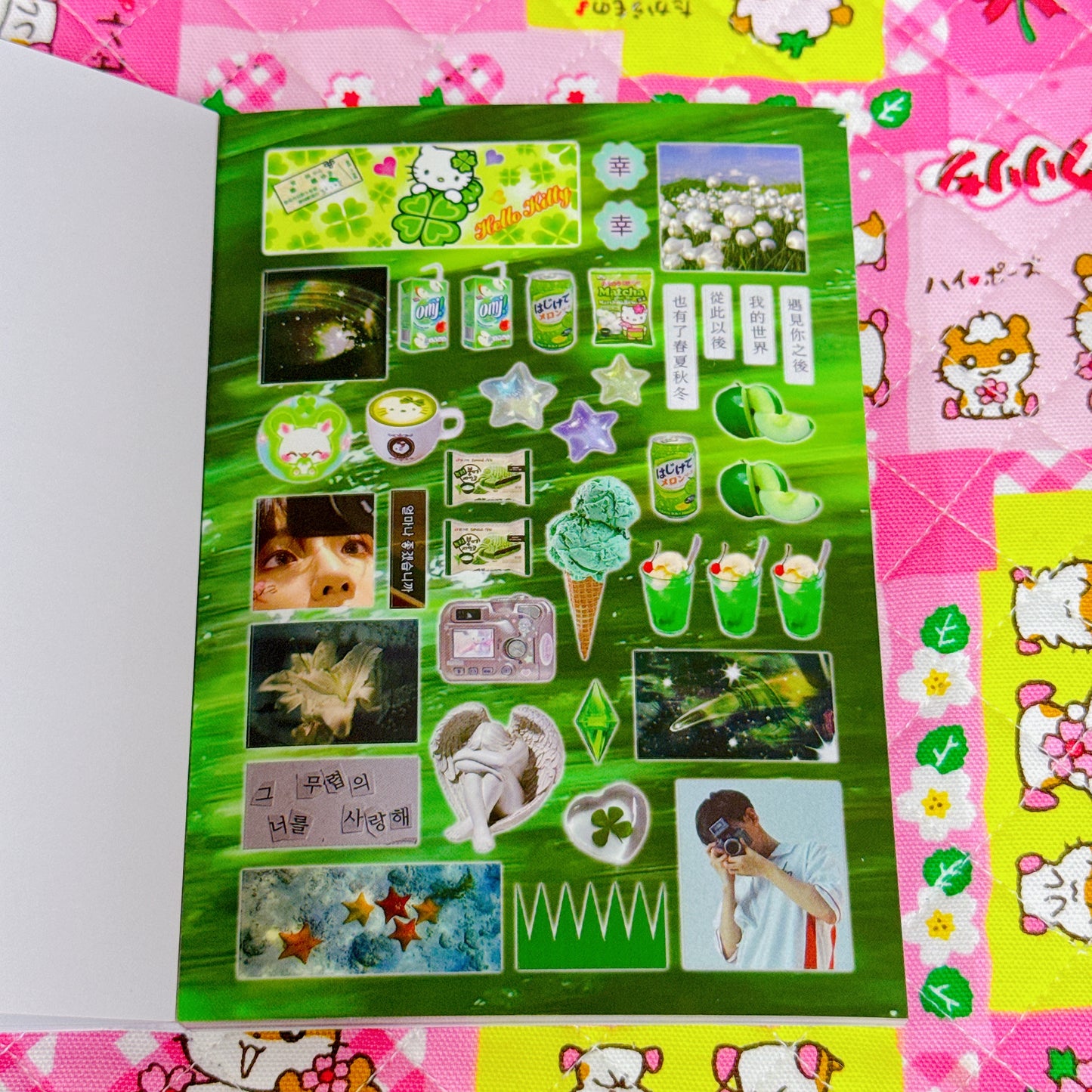 Sticker Book ♡ 36 pages