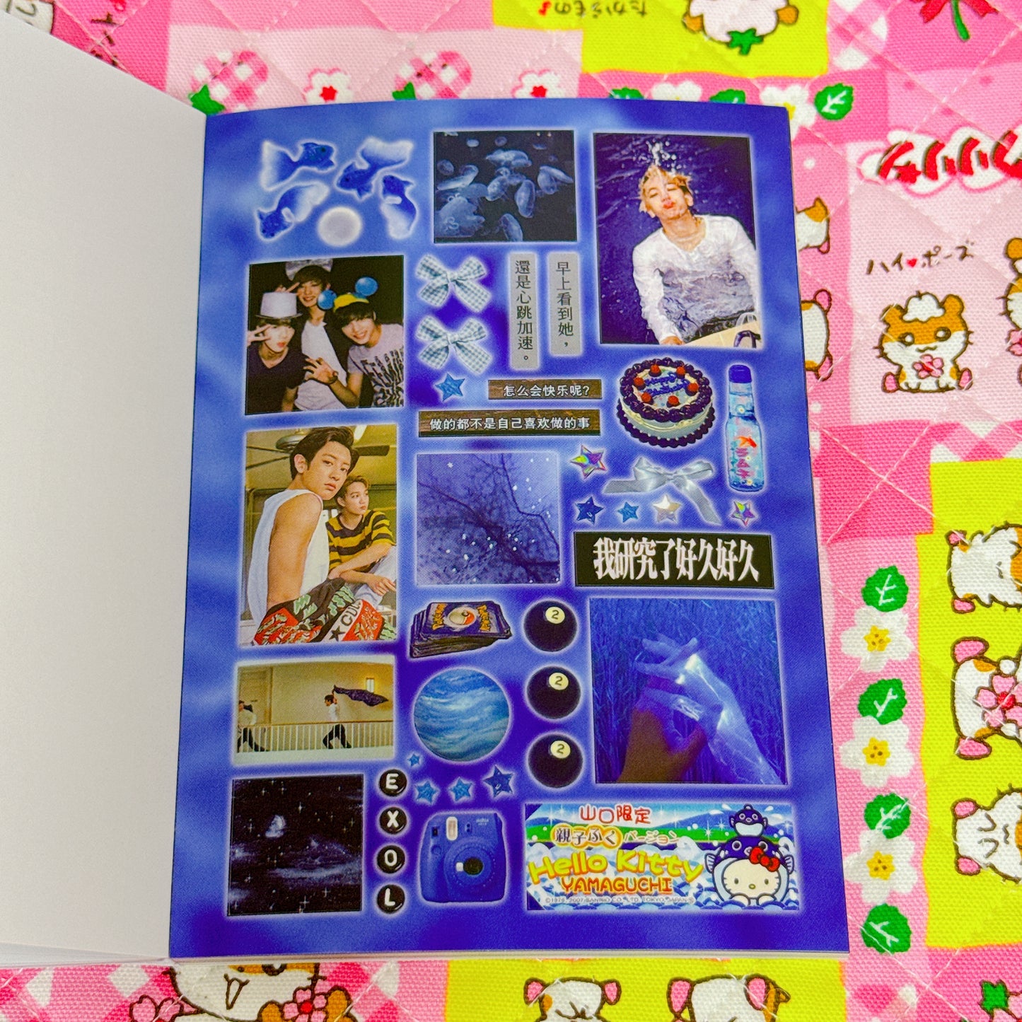 Sticker Book ♡ 36 pages
