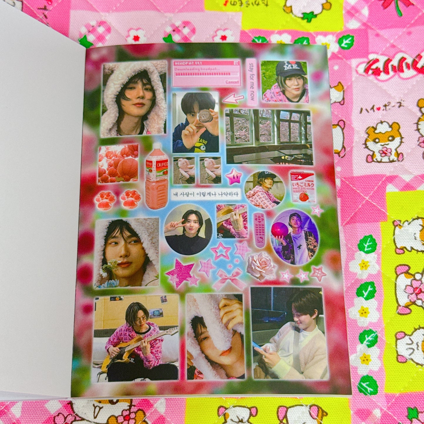 Sticker Book ♡ 36 pages