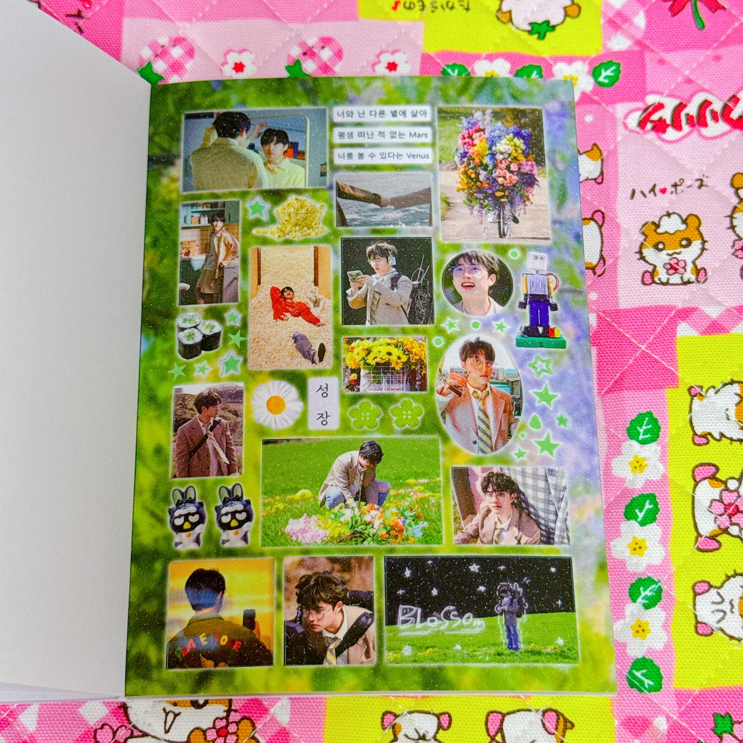 Sticker Book ♡ 36 pages