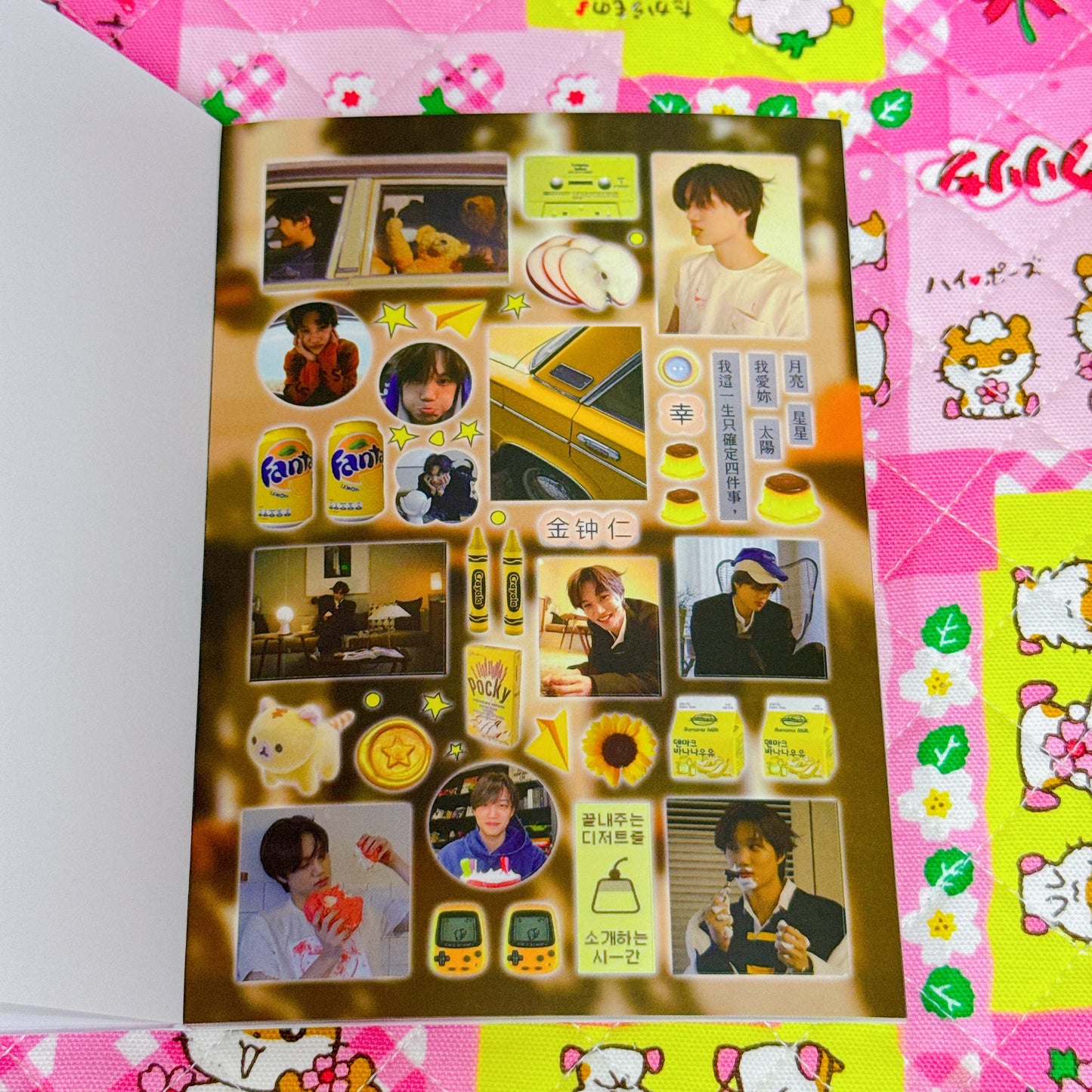 Sticker Book ♡ 36 pages