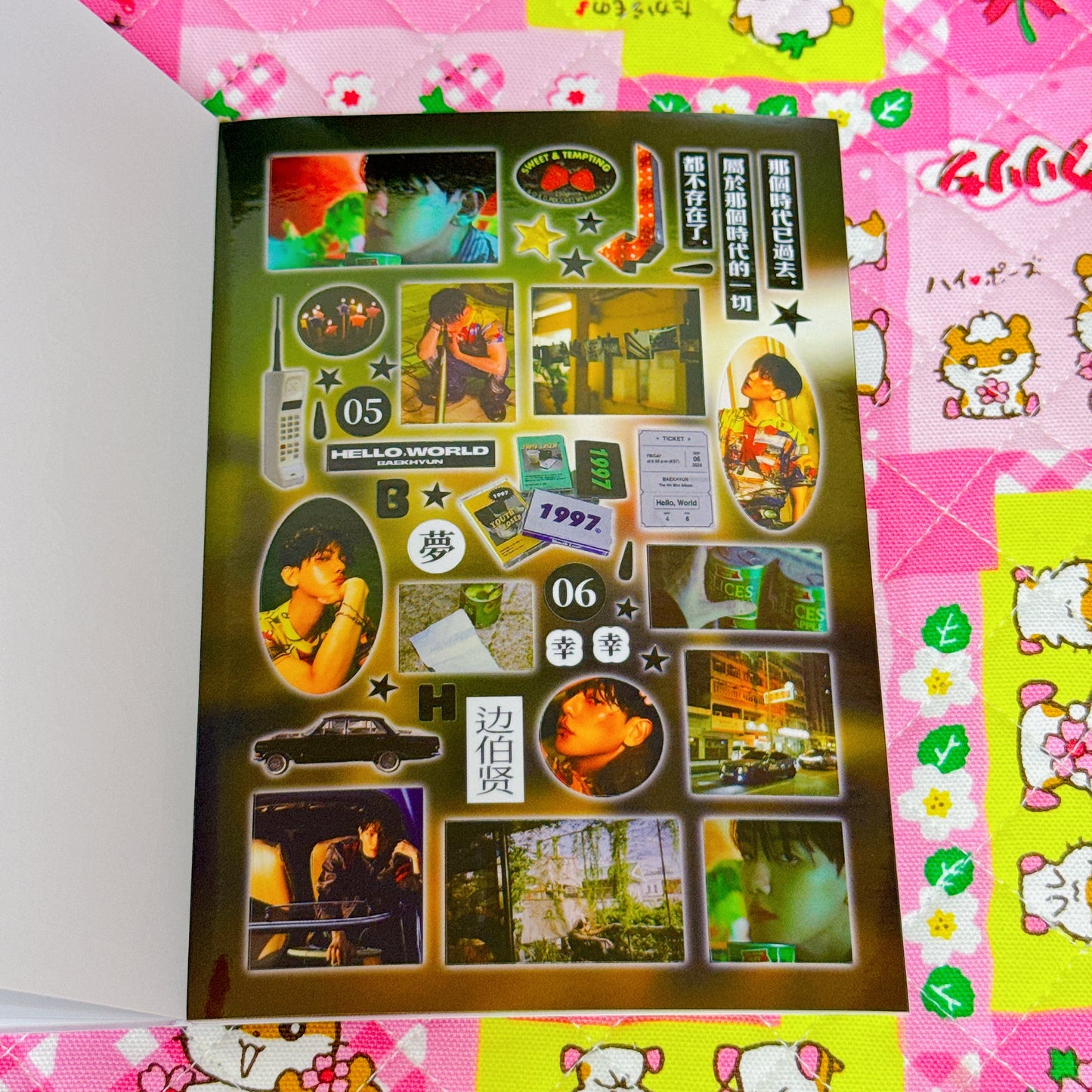 Sticker Book ♡ 36 pages