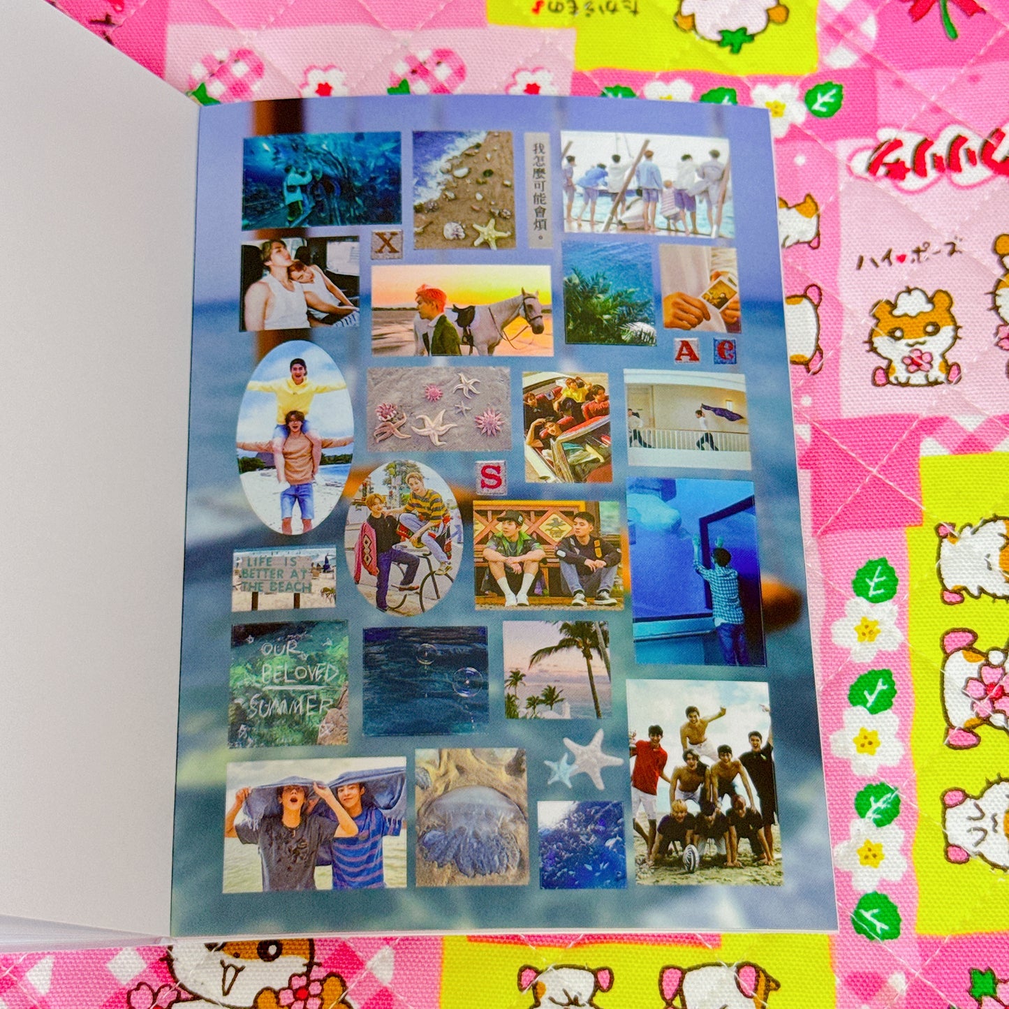Sticker Book ♡ 36 pages