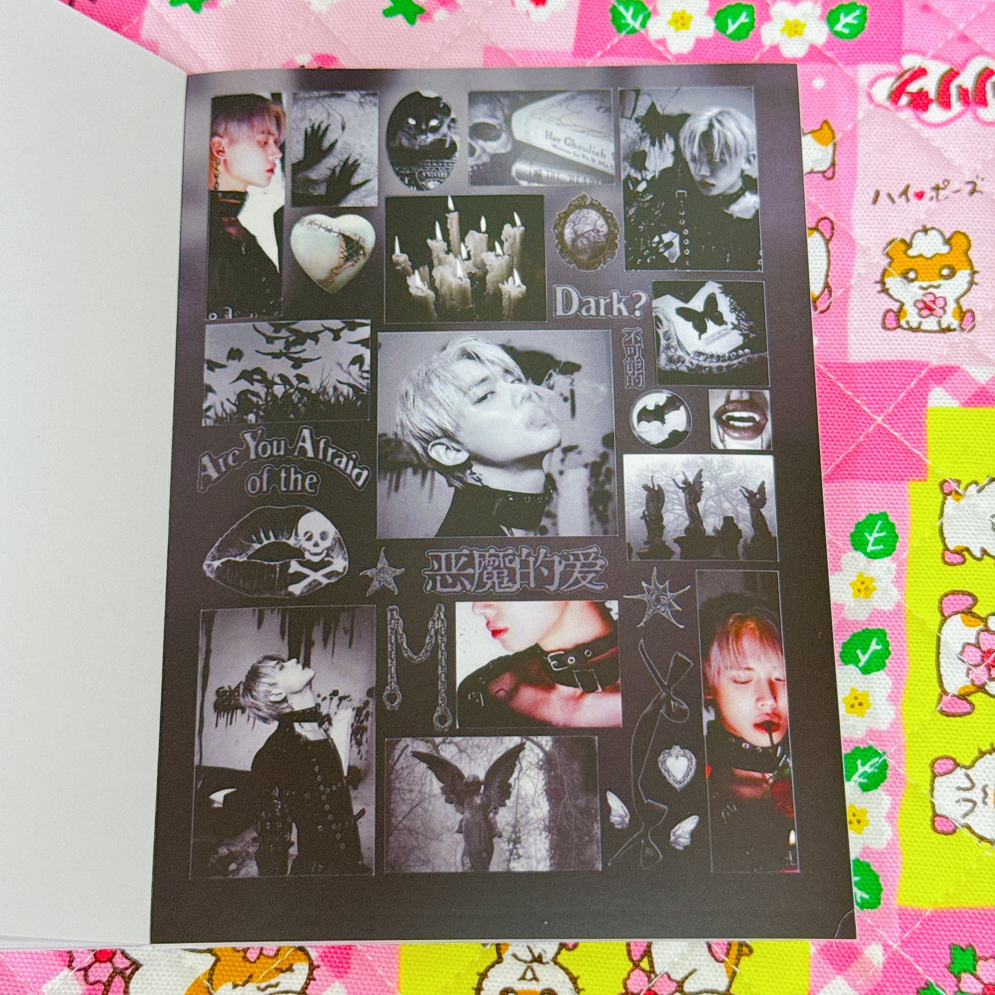 Sticker Book ♡ 30 pages