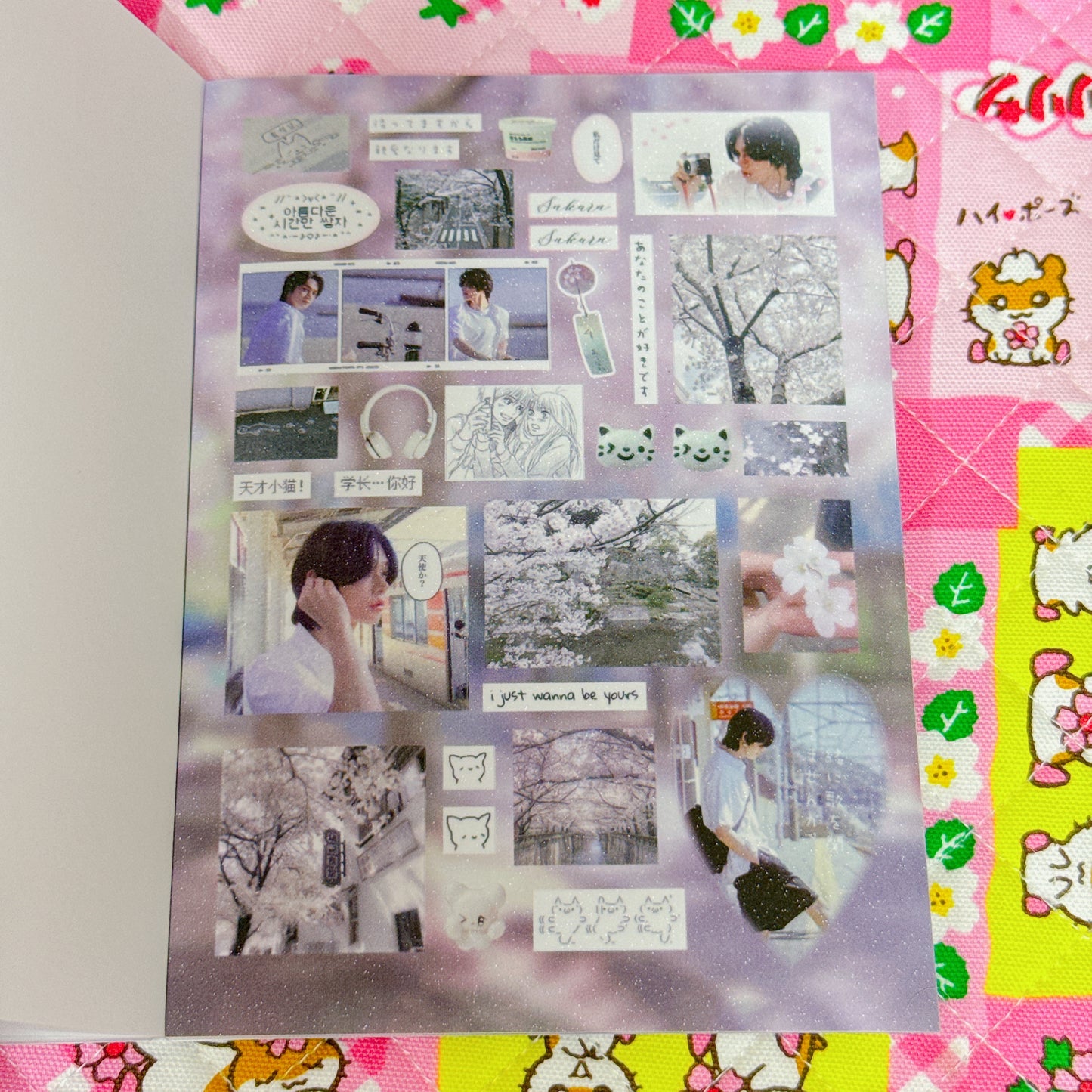 Sticker Book ♡ 30 pages