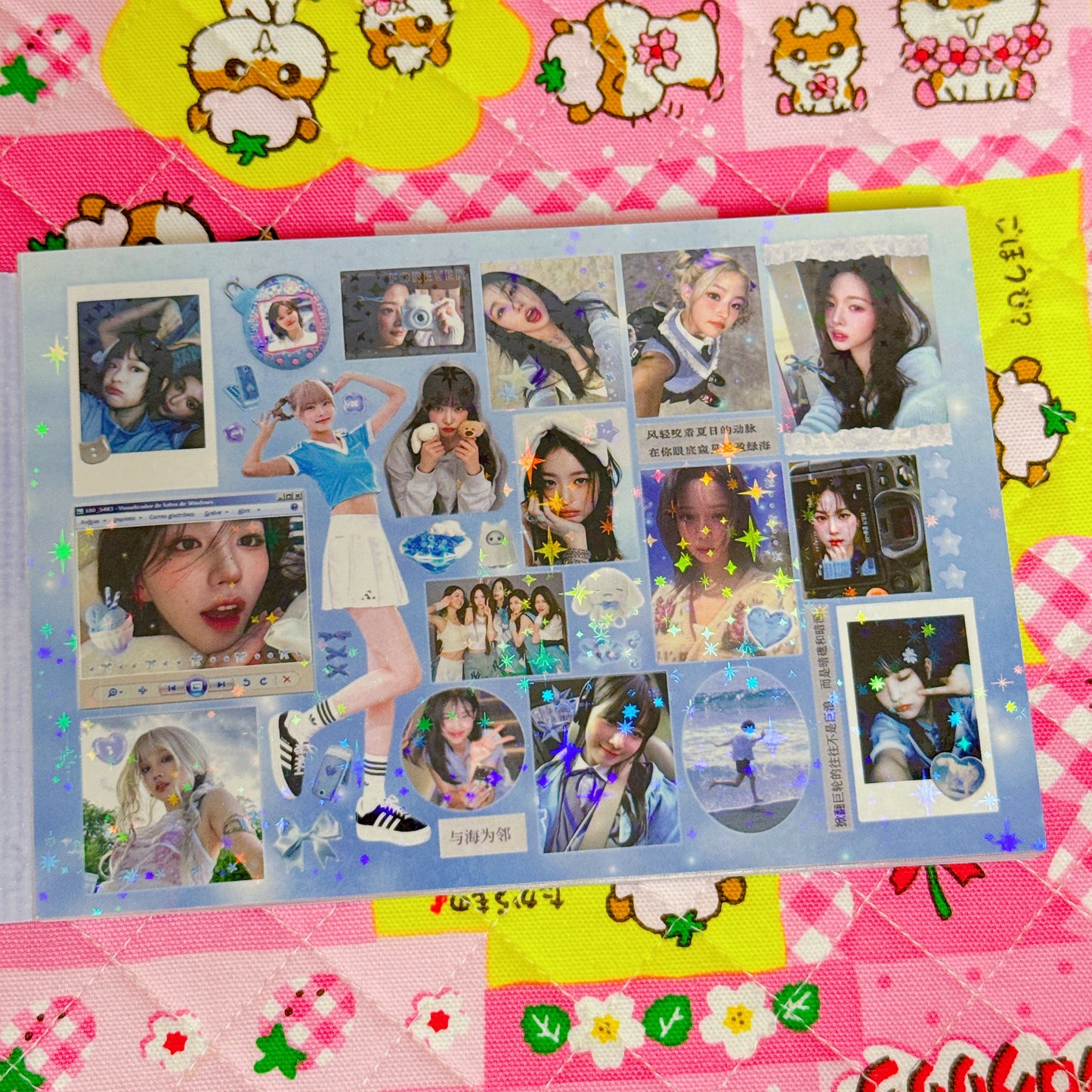 Sticker Book ♡ 30 pages