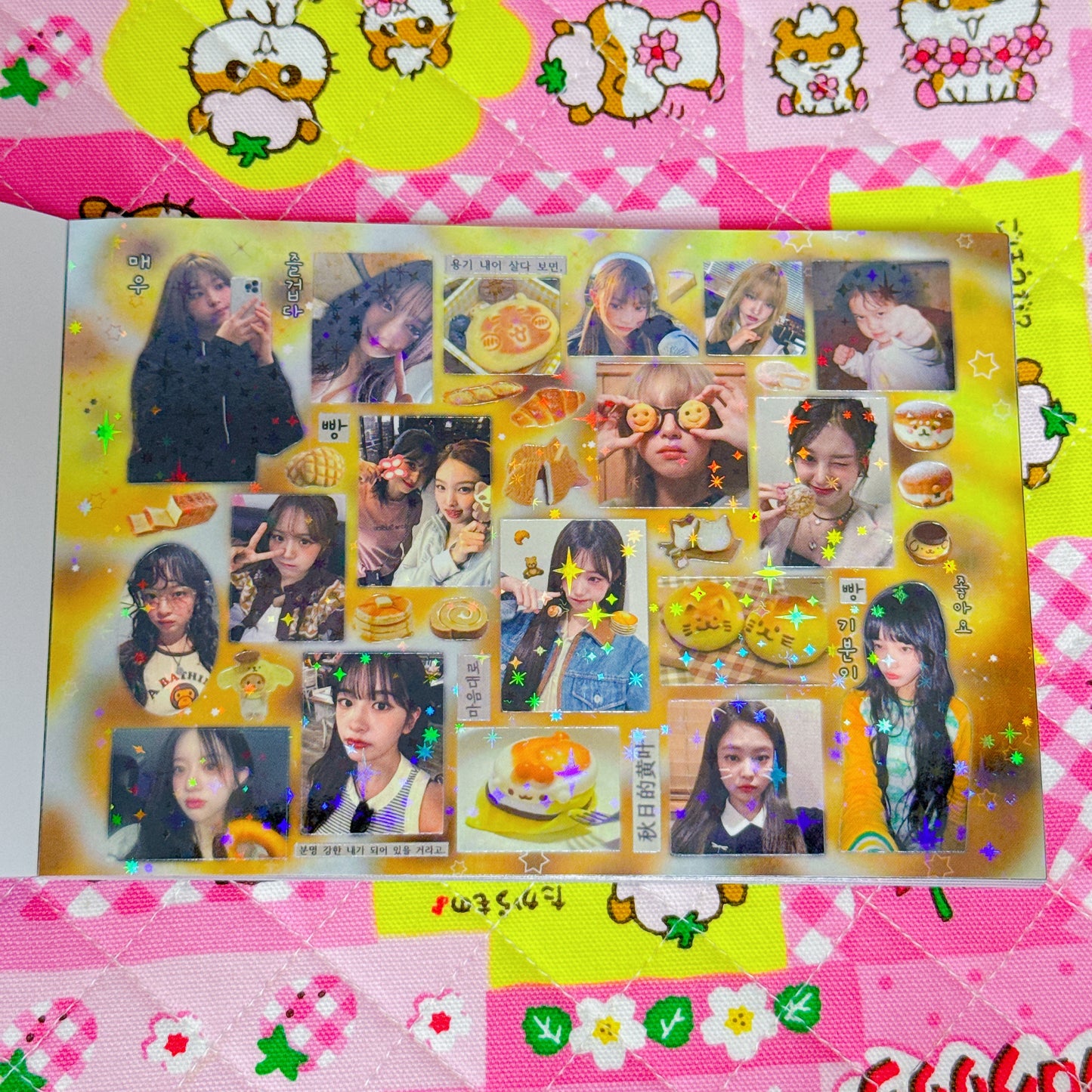 Sticker Book ♡ 30 pages