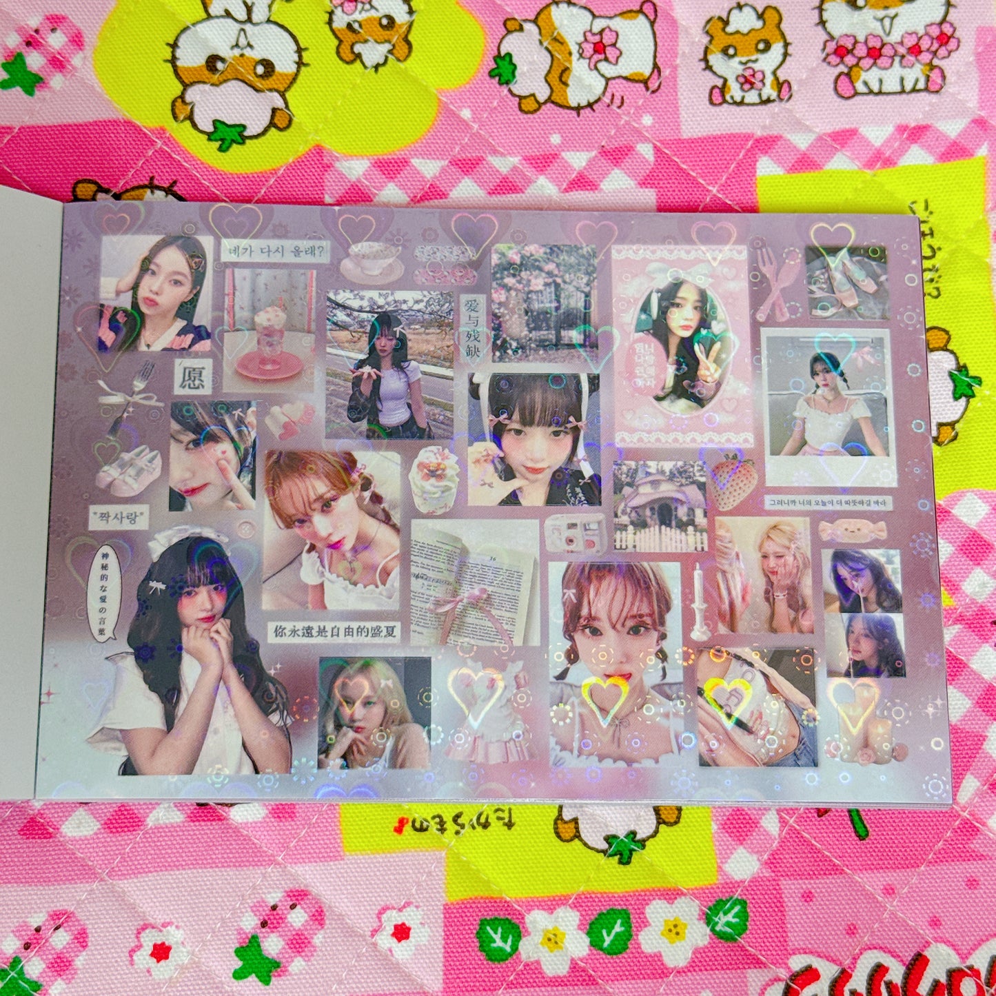 Sticker Book ♡ 30 pages