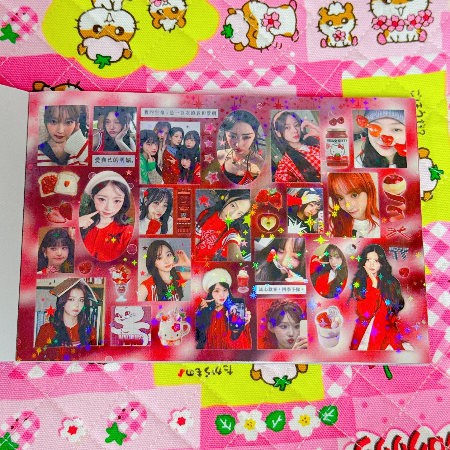 Sticker Book ♡ 30 pages