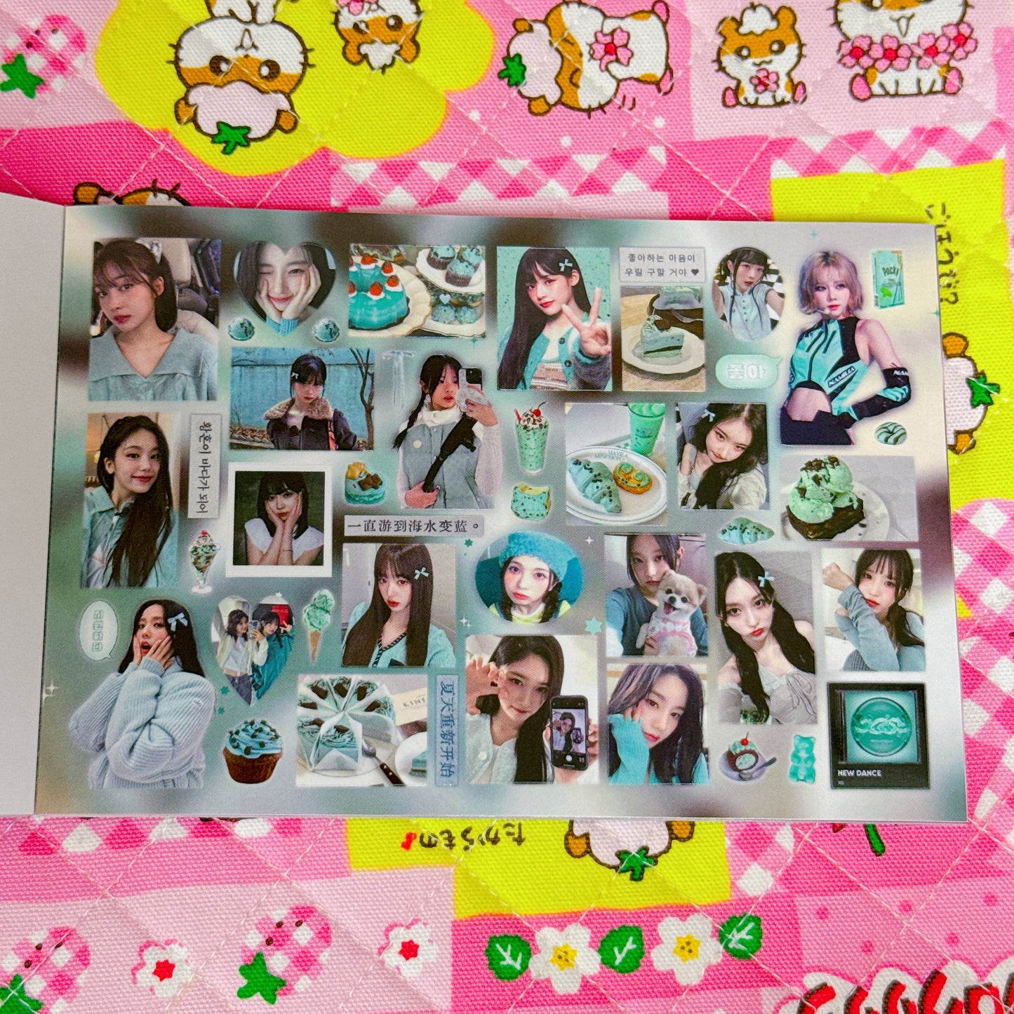 Sticker Book ♡ 30 pages