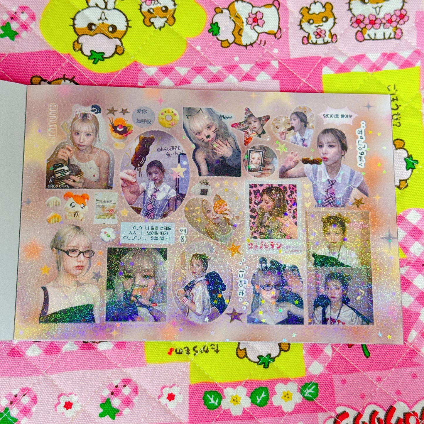 Sticker Book ♡ 30 pages
