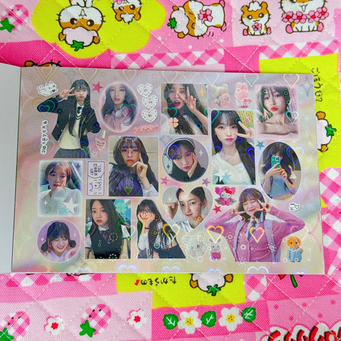 Sticker Book ♡ 30 pages
