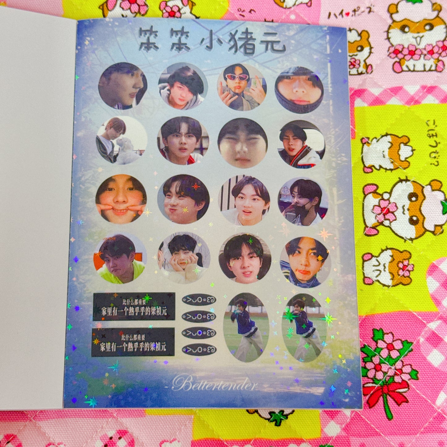 Sticker Book ♡ 40 pages