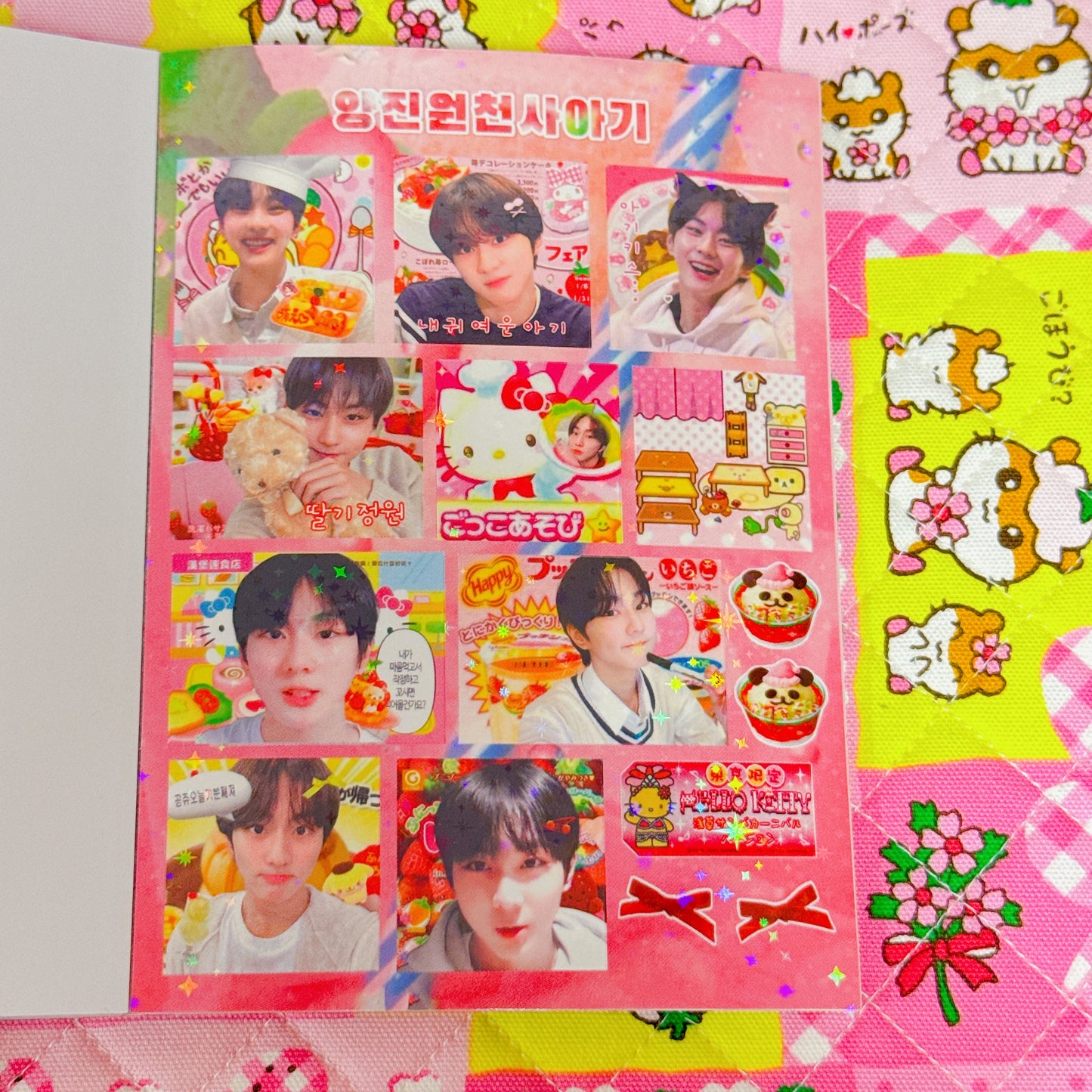 Sticker Book ♡ 40 pages