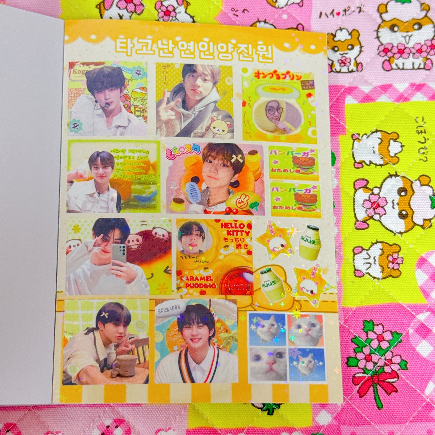 Sticker Book ♡ 40 pages