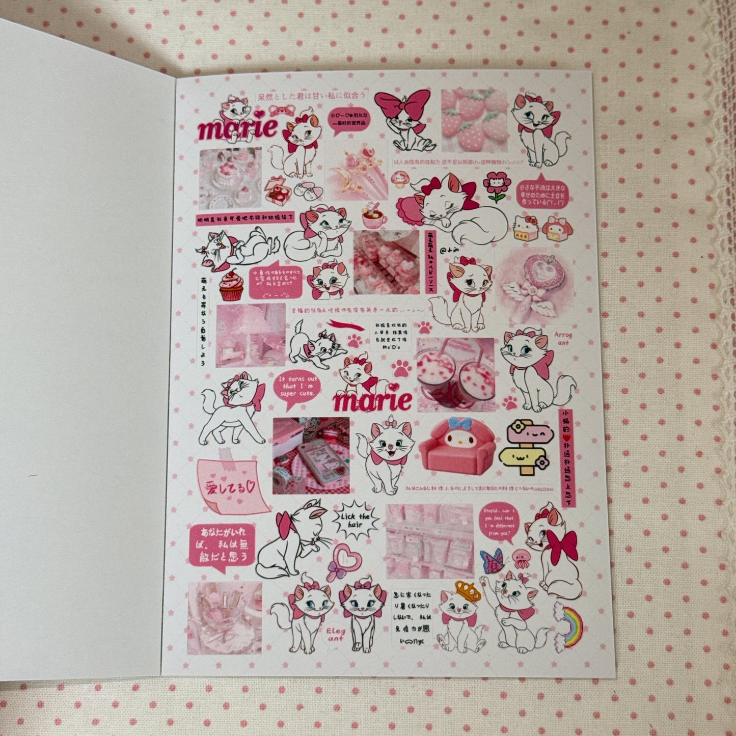 Sticker Book ♡ 30 pages