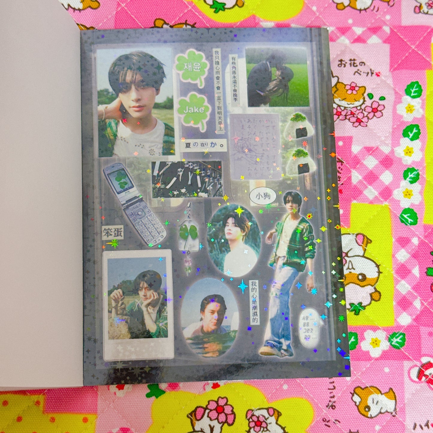 Sticker Book ♡ 25 pages