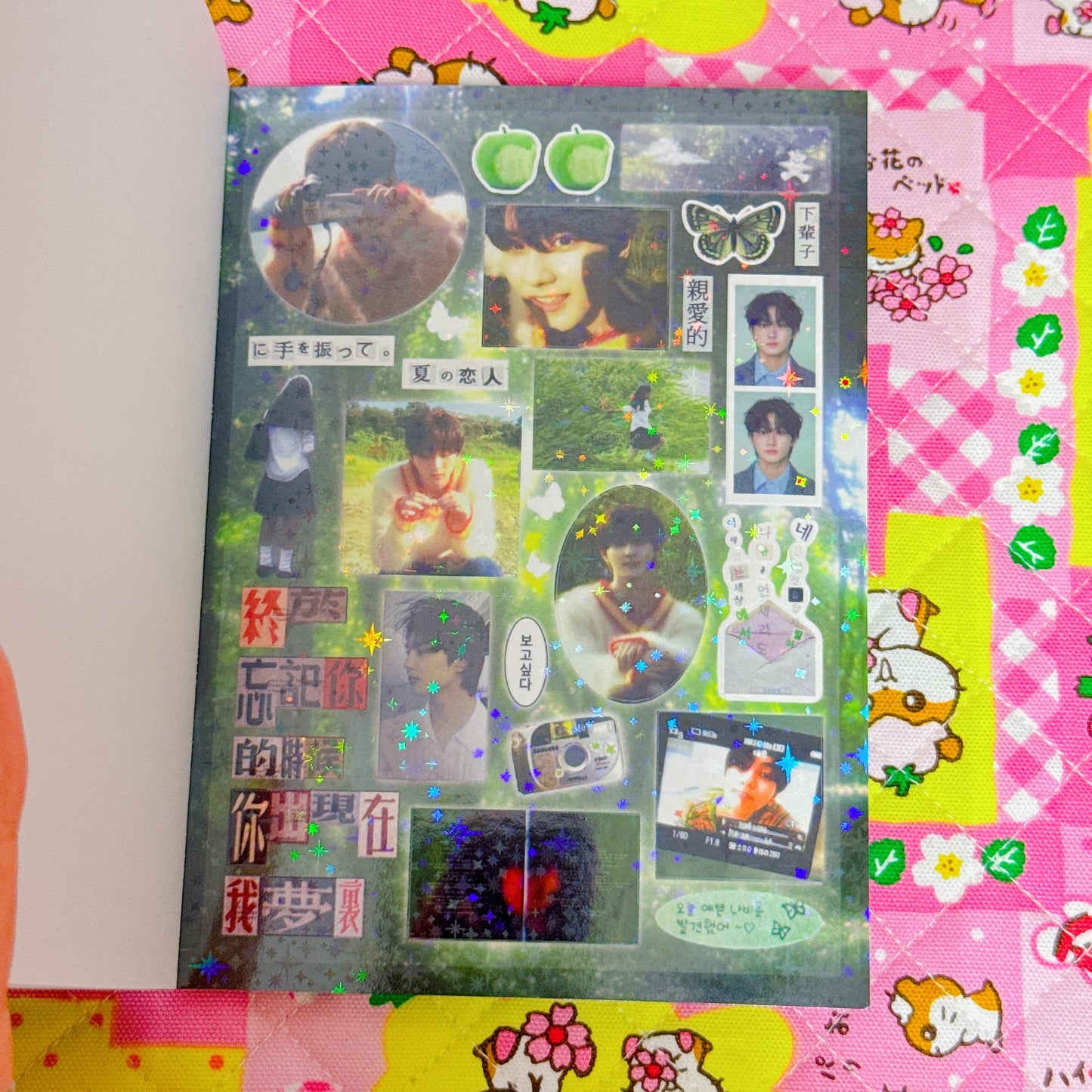 Sticker Book ♡ 25 pages