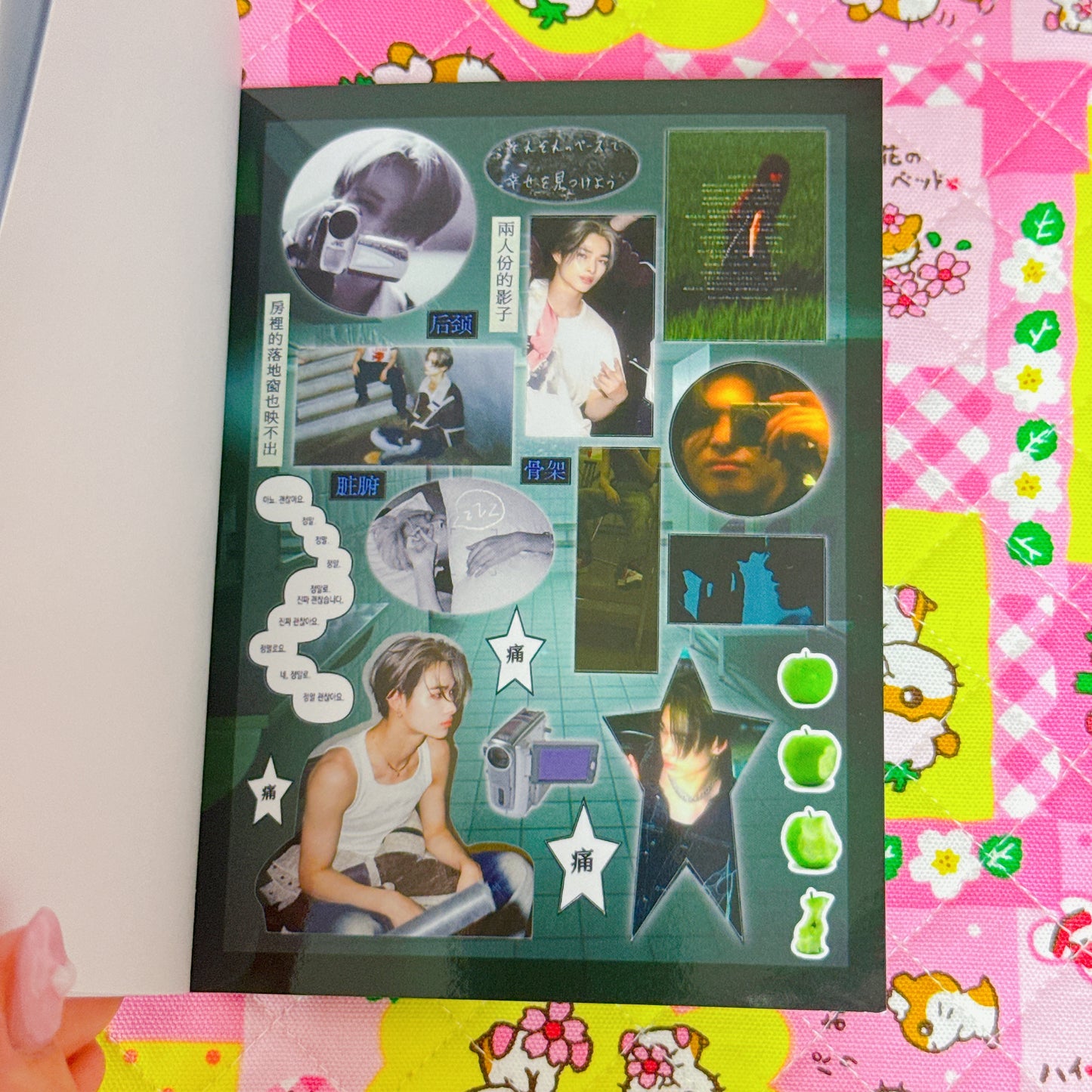 Sticker Book ♡ 25 pages