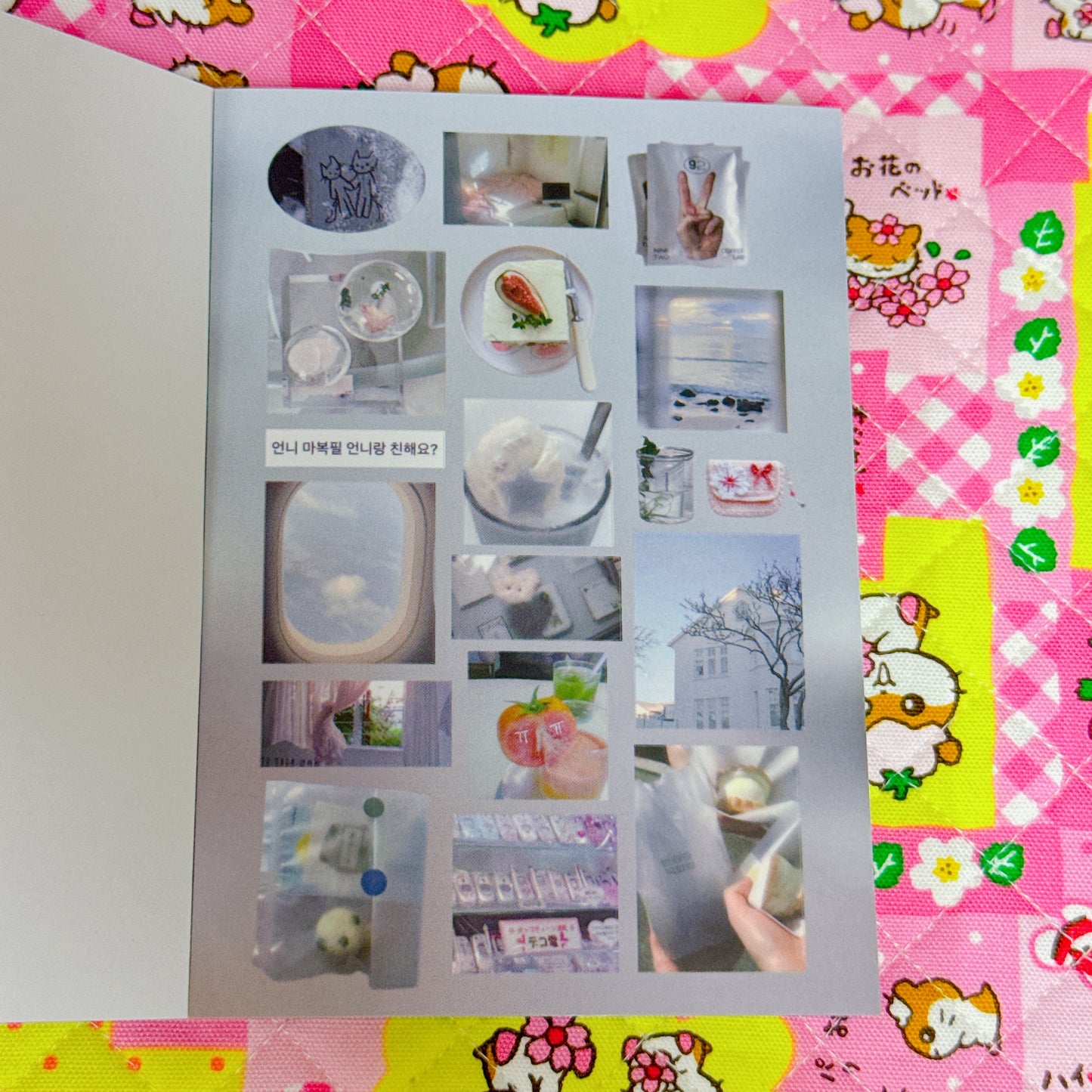 Sticker Book ♡ 38 pages