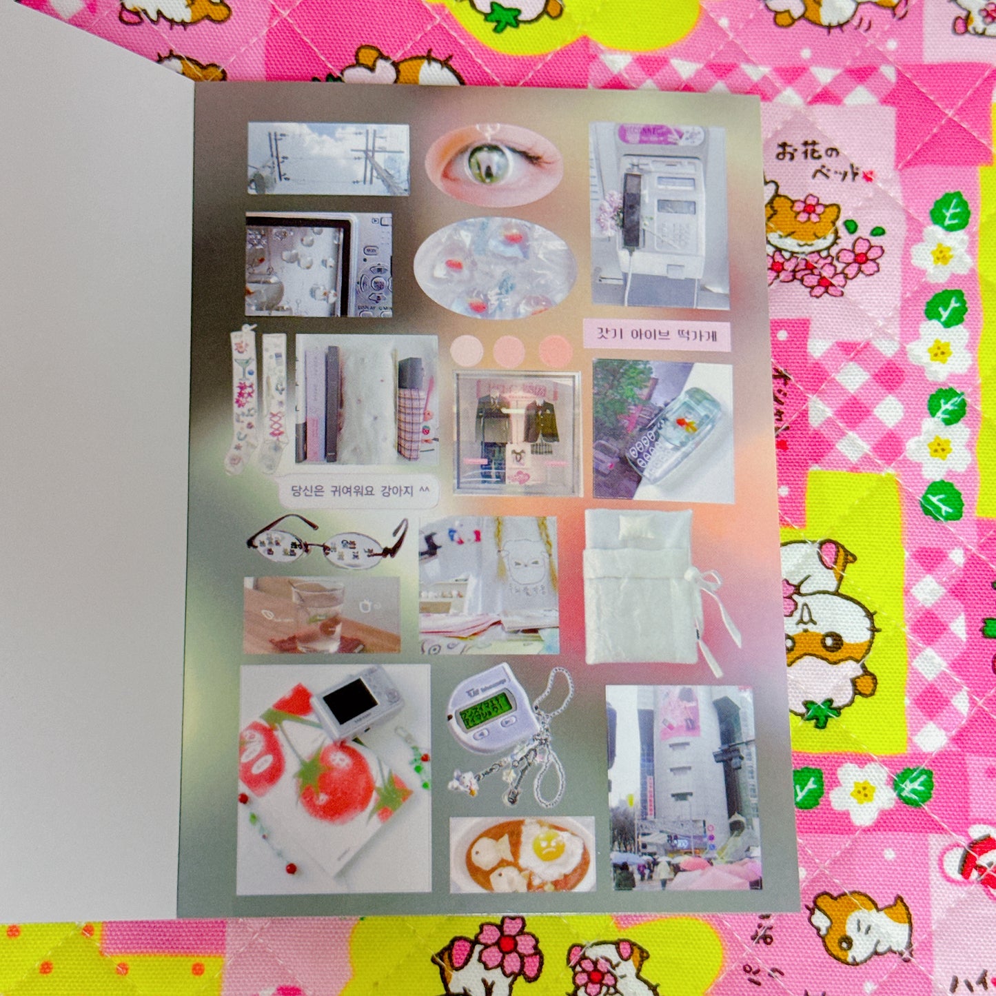 Sticker Book ♡ 38 pages