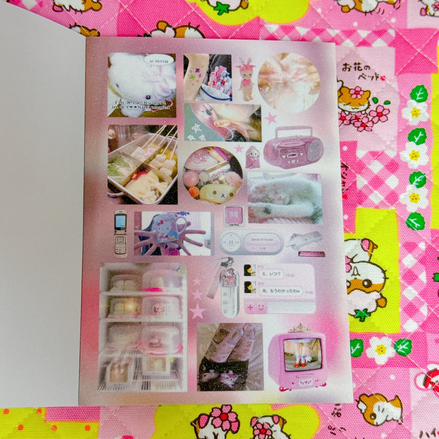 Sticker Book ♡ 38 pages