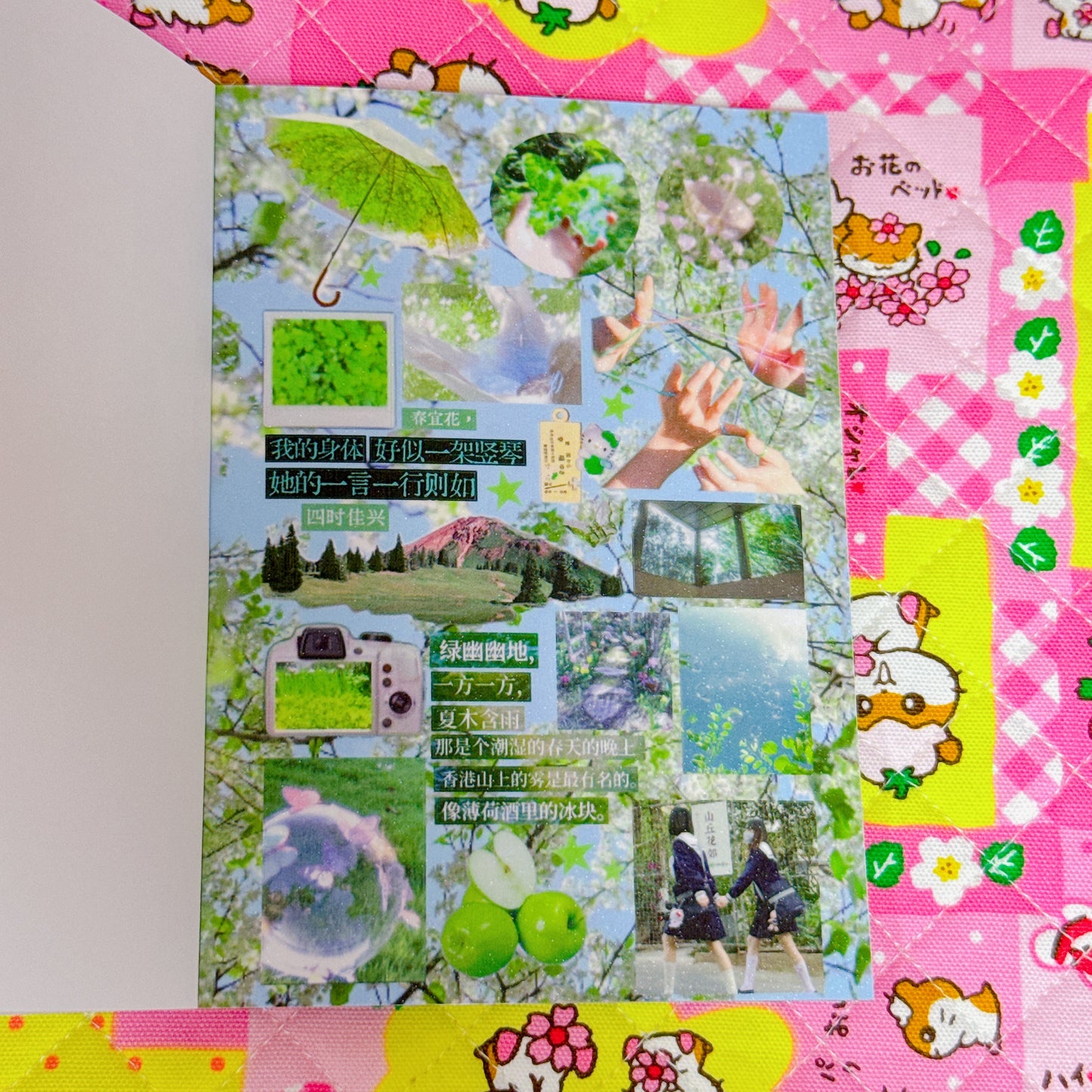 Sticker Book ♡ 38 pages